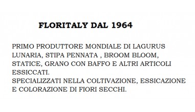 PRODUZIONE DI LAGURUS