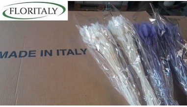 PRODUZIONE DI LAGURUS